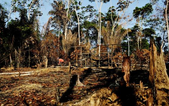 A wildcat gold miner builds his makeshift home at a deforested area of the Amazon rainforest near Crepurizao, Brazil, in 2017. (CNS/Reuters/Nacho Doce) 