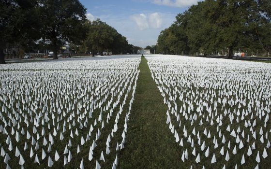 A temporary memorial for the victims of COVID-19 is seen near the armory in Washington Oct. 23. Each day the artist adds new flags to the installation as the death toll rises. As of Oct. 29, about 228,000 Americans have died from the disease. (CNS/Tyler O