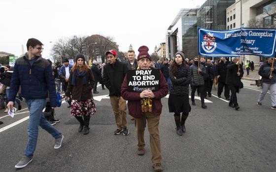 People walk up Constitution Avenue headed toward the U.S. Supreme Court while participating in the 47th annual March for Life in Washington Jan. 24. (CNS/Tyler Orsburn)