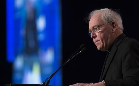 Bishop Richard Malone of Buffalo, New York (CNS/Tyler Orsburn)