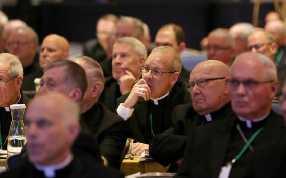 Bishops listen to a speaker Nov. 14, 2018, at the fall general assembly of the U.S. Conference of Catholic Bishops in Baltimore. (CNS/Bob Roller)