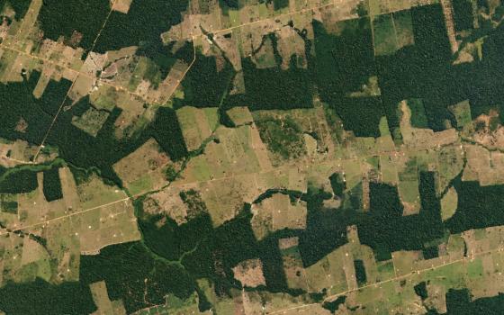 A 2016 satellite photo shows farms and pastureland carving their way into the tropical forest in the western Brazilian state of Rondônia. The state is one of the Amazon’s most deforested regions. (Wikimedia Commons/Planet Labs Inc.)