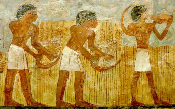 Detail from a mural in the tomb of Unsu, a grain accountant in Egypt, circa 1550-1069 B.C. (Wikimedia Commons/Siren-Com)