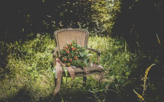 chair in woods