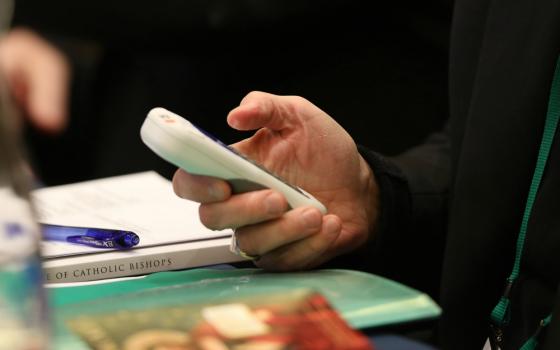 A bishop casts his vote during last year's fall general assembly of the U.S. Conference of Catholic Bishops in Baltimore Nov. 11, 2019. (CNS/Bob Roller)