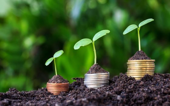 Eco-investing (Dreamstime/Kurapy11)