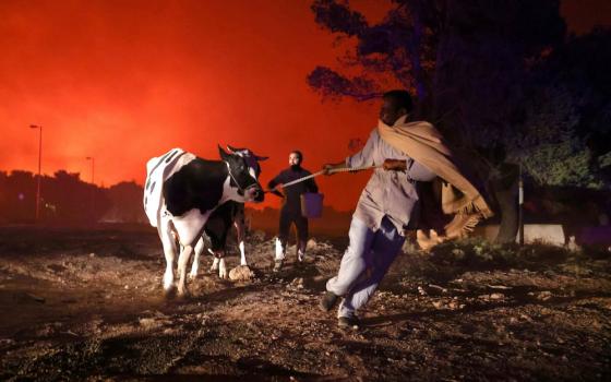 Local residents evacuate the area with their animals as a wildfire rages in Thrakomakedones, Greece, Aug. 7. A Greek archbishop said the country must be more sensitive and careful when it comes to ecology and preparedness. (CNS photo/Giorgos Moutafis, Reu