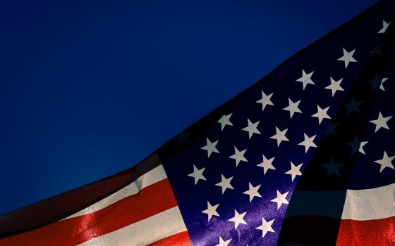 American flag (Unsplash/Steve Harvey)