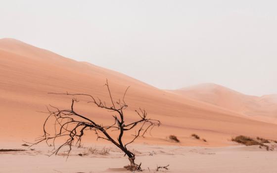 "In this new wasteland, I came to know myself more deeply." (Unsplash/Ryan Cheng)