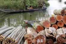 Women float near a wood market in Monrovia, Liberia, in October 2017. (CNS/Reuters/Thierry Gouegnon)