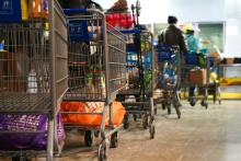 Shopping carts are slowly filled with food in November 2018 as clients make their way through the food pantry operated by the Indianapolis Council of the Society of St. Vincent de Paul. (CNS/Katie Rutter)