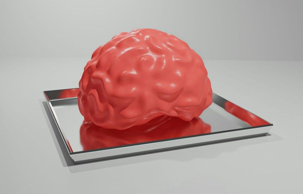 illustration of human brain