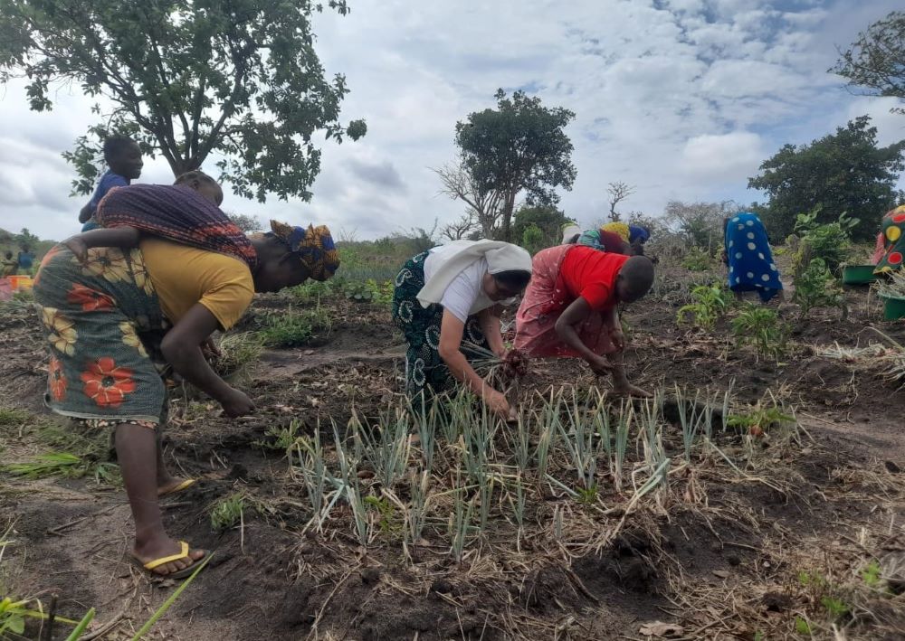 La hermana agustina Ediltrudis Clemente Chinchay trabaja con mujeres agricultoras en proyectos de métodos agrícolas sostenibles en Nampula, Mozambique. Ella y la hermana agustina Aurora Jacinto dirigen el Programa de Biodiversidad y Agricultura, fundado en 2022 para apoyar y educar a las mujeres agricultoras. (Foto: Tawanda Karombo)