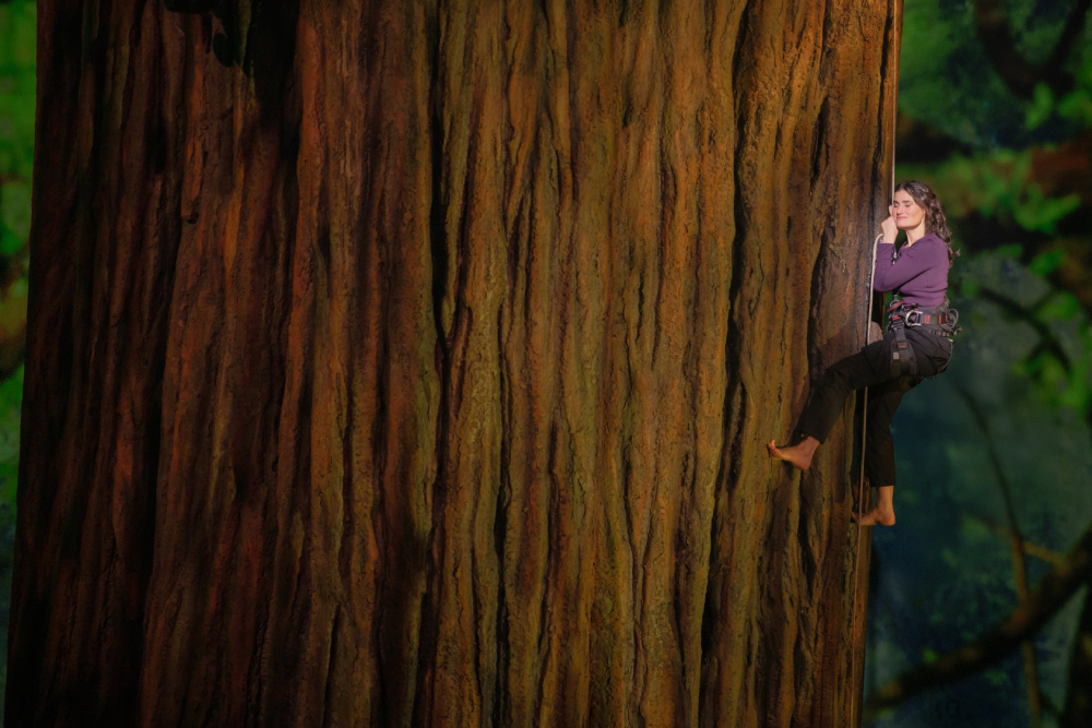 Idina Menzel as Jesse in the Broadway musical "Redwood." (Matthew Murphy and Evan Zimmerman)