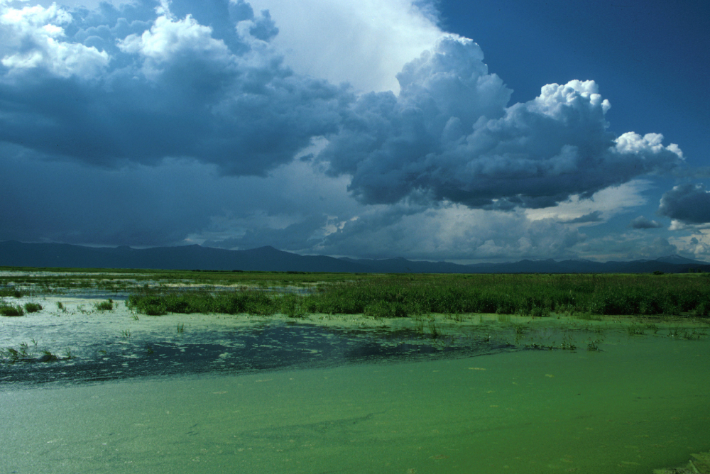 Klamath Basin on a cloudy day