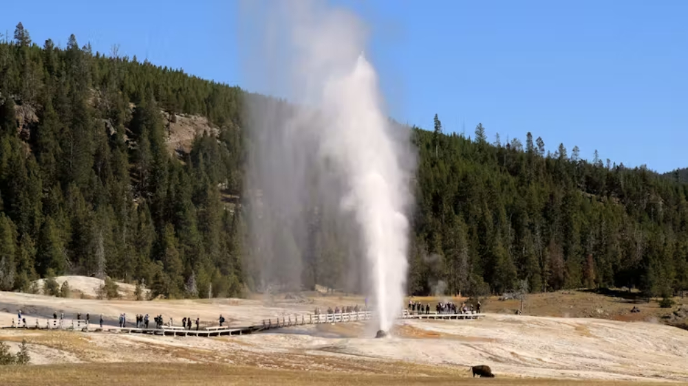 Beehive Geyser, in the Upper Geyser Basin of Yellowstone National Park. (Thomas S. Bremer)