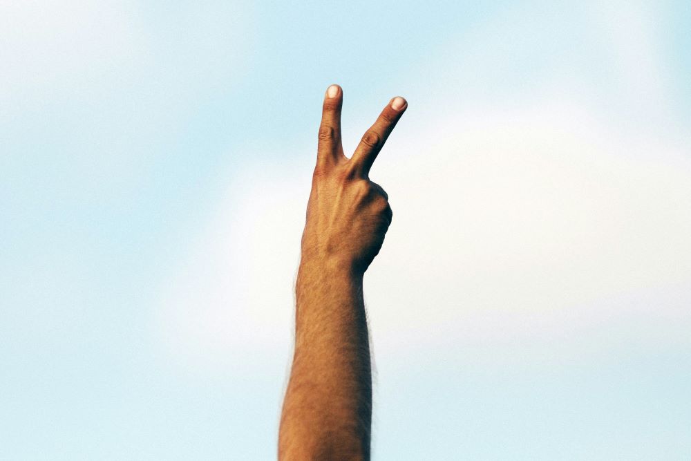 Hand makes peace sign.