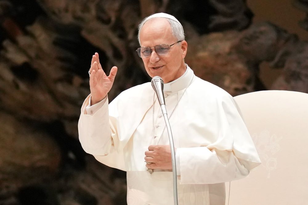 Pope Leo waves.
