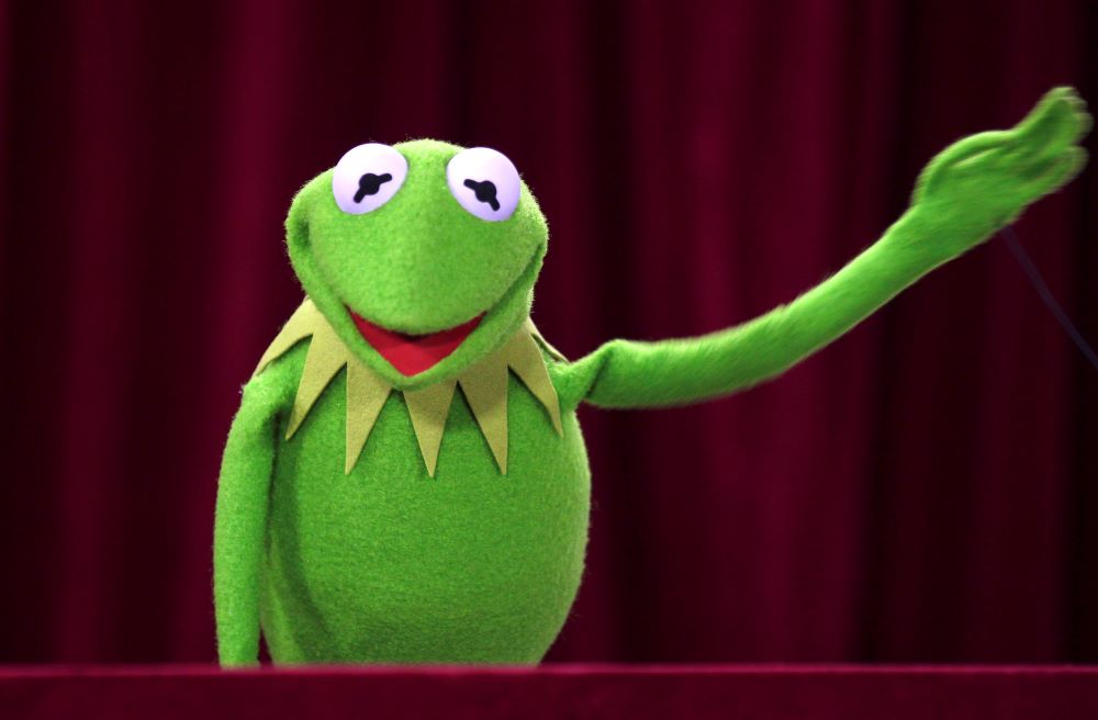 Kermit the frog