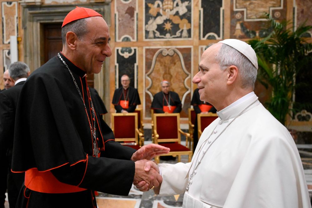 Pope Leo XIV meets Cardinal Víctor Manuel Fernández, prefect of the Dicastery for the Doctrine of the Faith, during an audience with members and officials of the dicastery and others participating in its plenary session at the Vatican Jan. 29. (CNS/Vatican Media)