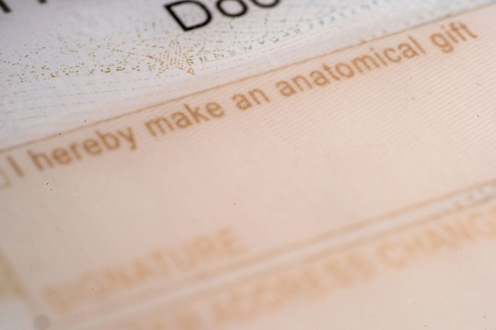 The organ donor entry on the back of a driver license is photographed in New York, Oct. 25, 2024. More than 103,000 people currently sit on the national transplant waiting list. (AP/Patrick Sison, File)