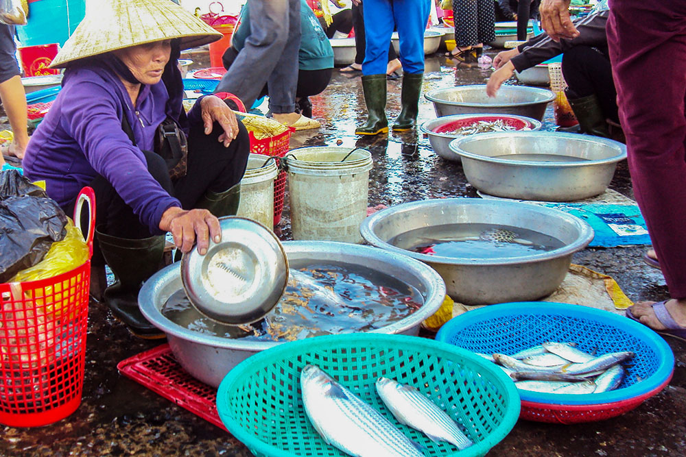 Thi Mai sells fish at a market in Hue, Vietnam, on Apr. 4, 2026. She echoes a  sentiment common among locals who believe the chemical alteration of the water after the Formosa marine disaster has stunted the growth and quality of the catch. (Photo: Reporter in Vietnam)