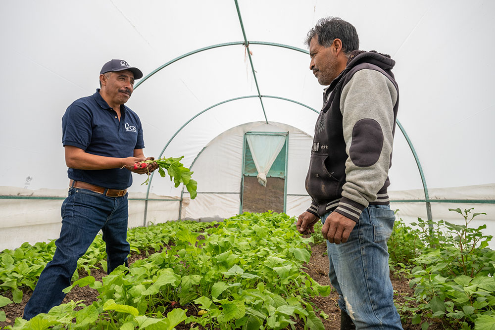 Severiano Martínez, left, technical associate for Catholic Relief Services Mexico, provides technical advice to Jesús José Gómez Rodríguez, a participant in CRS’ Water-Smart Agriculture program, at a greenhouse in San Miguel Chicahua, Oaxaca, Mexico, Dec. 6, 2023. (Catholic Relief Services/Thor Morales)