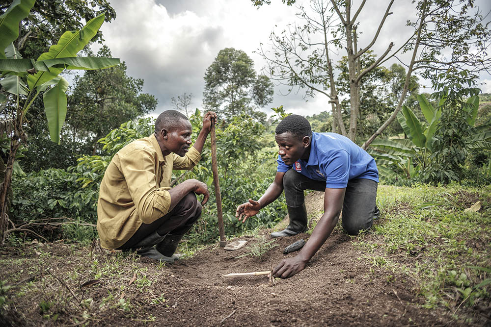 Tumusiime Brian, right, a Catholic Relief Services Uganda project supervisor, examines the progress of sprouting trees with Joseph Kisembo, a participant in the Catholic agency's Restore Africa program that aims to restore 100 million hectares of degraded land on the continent by 2030. (Catholic Relief Services/Jjumba Martin)