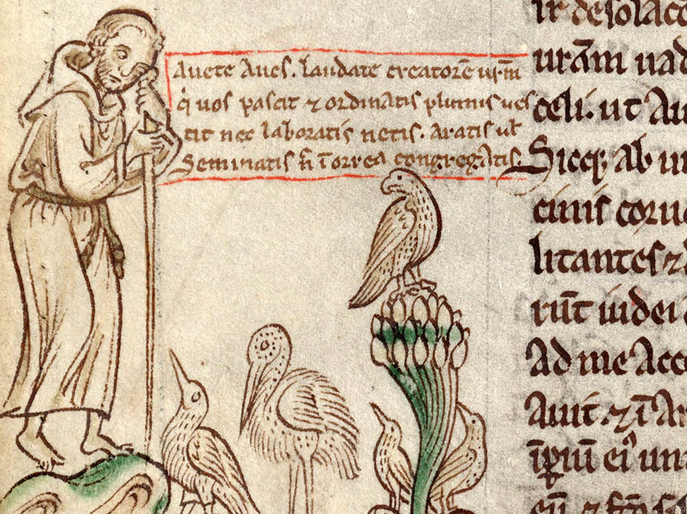 St. Francis preaches to the birds in an illustration from a 13th-century manuscript by Benedictine monk Matthew Paris. (Wikimedia Commons)