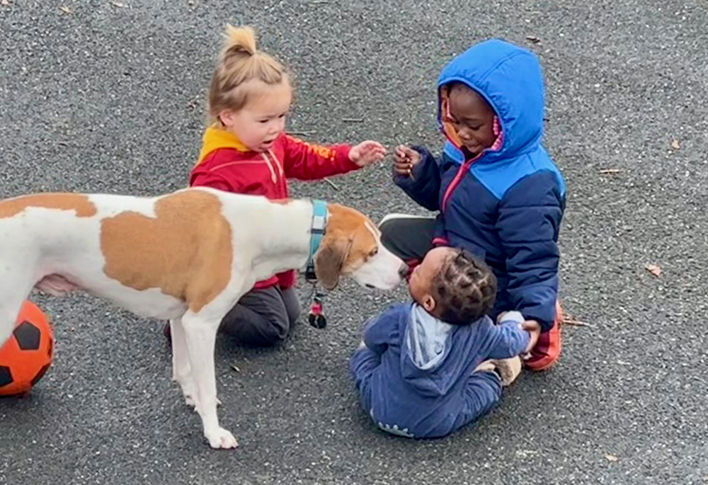 The author's grandchild and Haitian family friends are pictured with dog Benny. (Courtesy of Bill Mitchell)