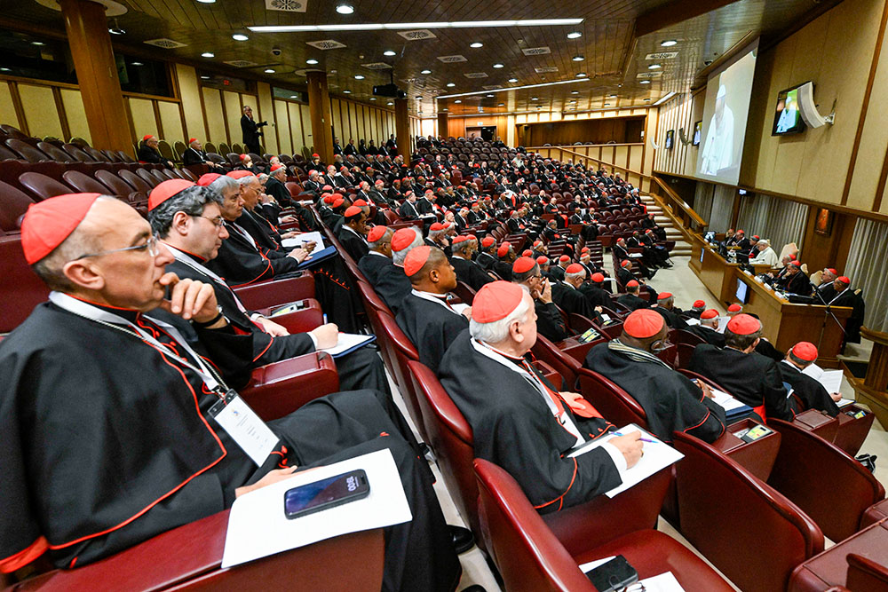 Cardinals from around the world attend a Jan. 8, 2026, session of a consistory with Pope Leo XIV at the Vatican, held Jan. 7-8. (OSV News/Vatican Media/Simone Risoluti)