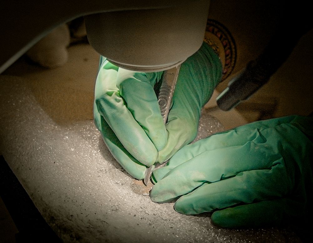 Archaeologist Lucie Altenburg examines a coin under a microscope after it was discovered during excavations outside Notre Dame Cathedral in Paris June 1, 2026. (AP/Nicolas Garriga)