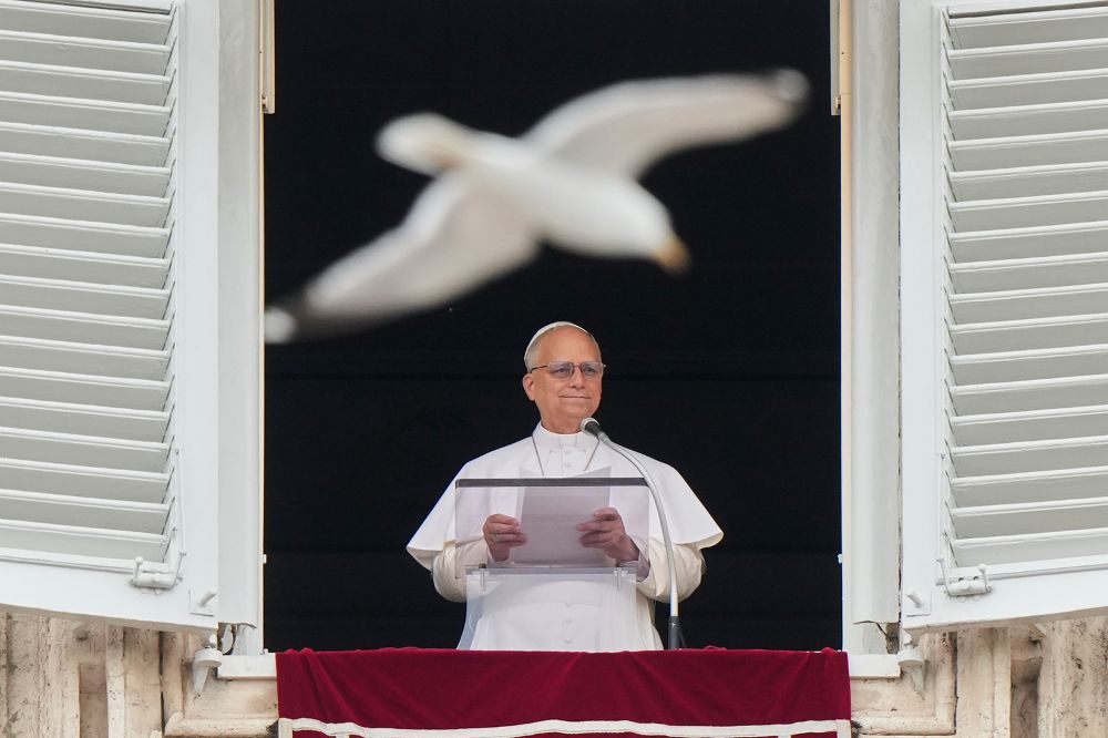 A seagull flies past as Pope Leo XIV recites the Regina Coeli noon prayer from the window of his studio overlooking St. Peter's Square, at the Vatican May 10, 2026. (AP/Andrew Medichini)