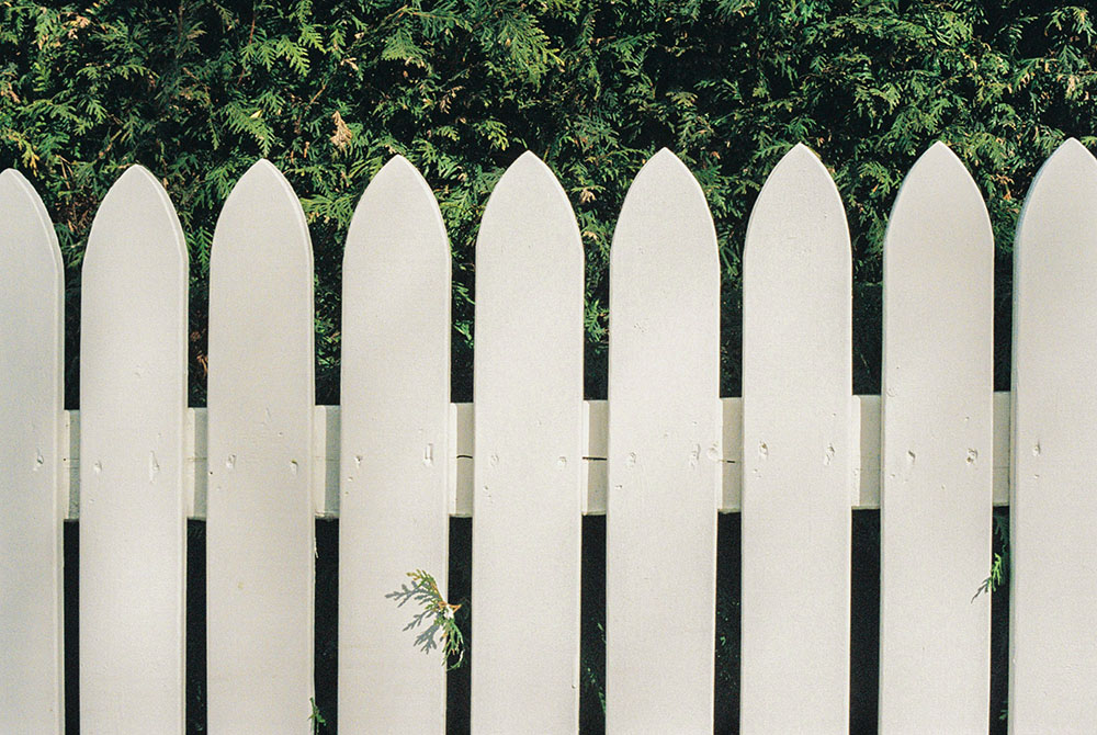 A whitewashed wooden fence in front of evergreen trees (Unsplash/Lawrence Krowdeed)