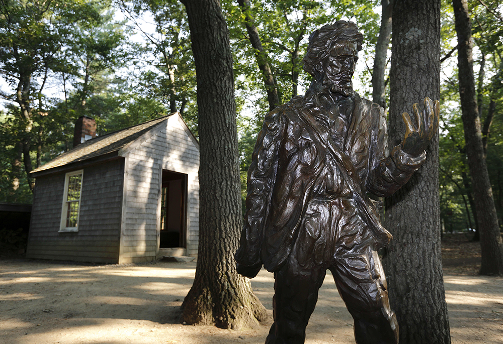 In this file photo, a statue of Henry David Thoreau stands outside a replica of his cabin near the shores of Walden Pond in Concord, Massachusetts. (AP Photo/Michael Dwyer, File)