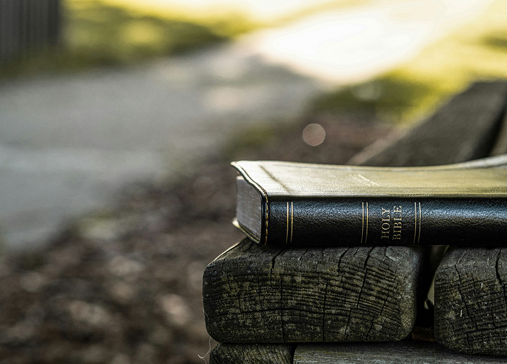 Holy Bible sitting on a wooden bench near a sunlight path (Unsplash/Aaron Burden)