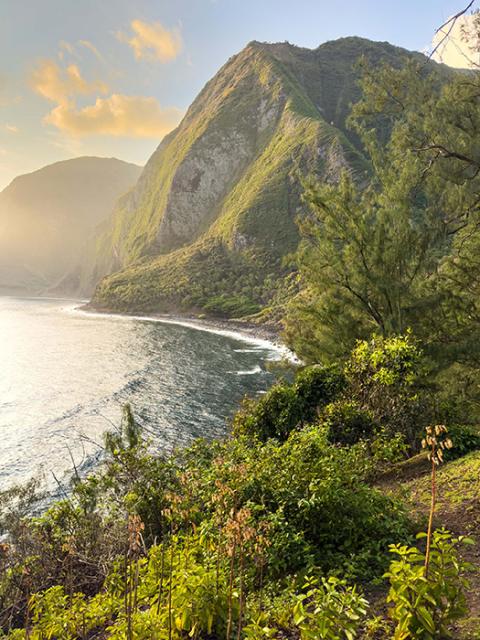 Molokai's northern coastline is punctuated by sea cliffs. (National Park Service/Dewitt Jones) 