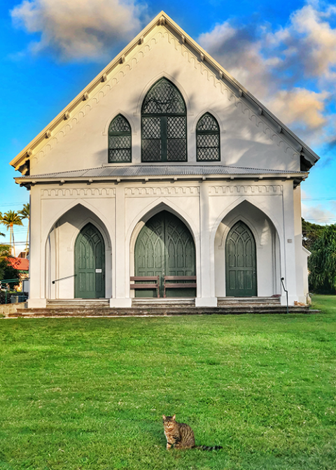 One of Fr. Pat Killilea's cats poses outside St. Francis Catholic Church in Kalaupapa. (National Park Service/Dewitt Jones) 