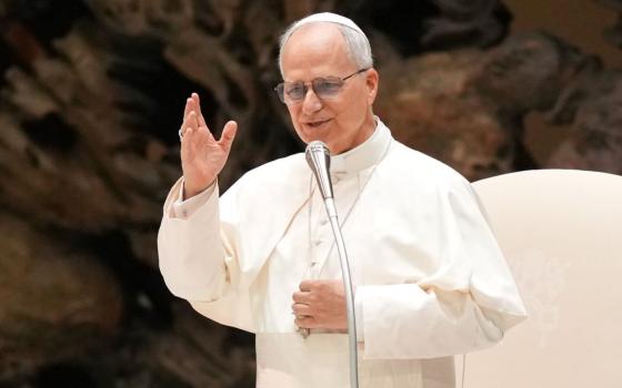 Pope Leo waves.