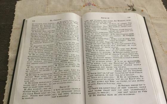 Sequoyah's invention of a Cherokee syllabary helped translate the Bible soon after missionaries' arrival. 