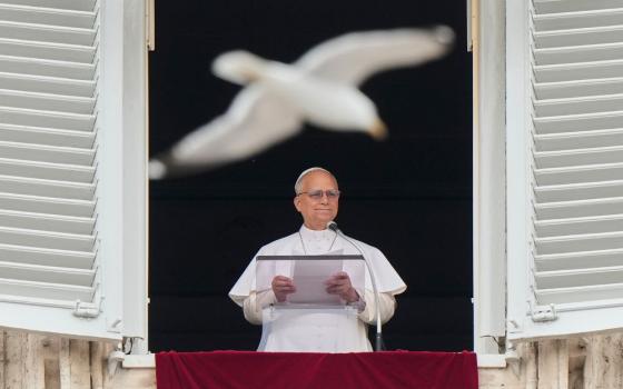 A seagull flies past as Pope Leo XIV recites the Regina Coeli noon prayer from the window of his studio overlooking St. Peter's Square, at the Vatican May 10, 2026. (AP/Andrew Medichini)