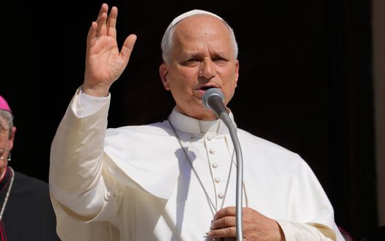 The homilies and addresses of Pope Leo XIV are now coming to English readers 