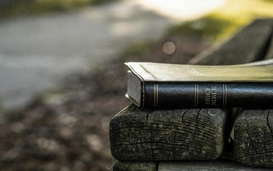 Holy Bible sitting on a wooden bench near a sunlight path (Unsplash/Aaron Burden)