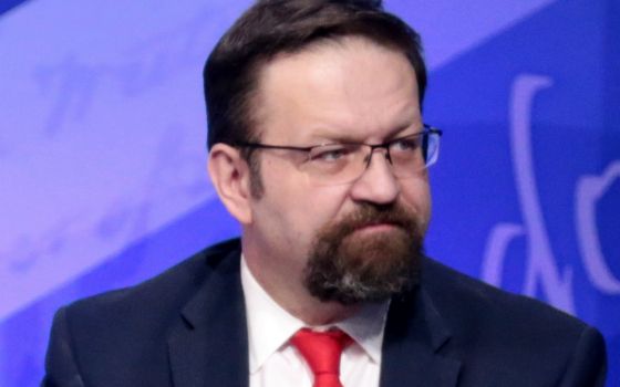 Sebastian Gorka in February (Wikimedia Commons/Gage Skidmore)